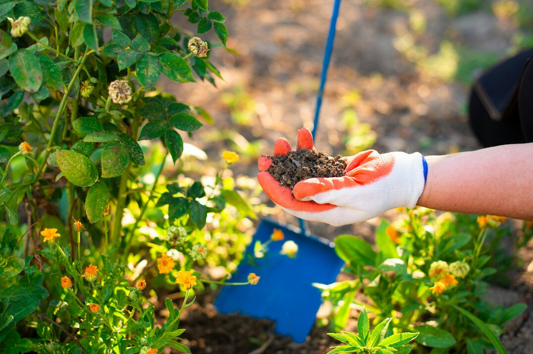 person planting seeds in soil