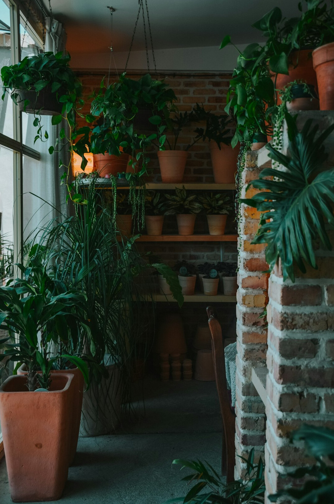 indoor plants on wall