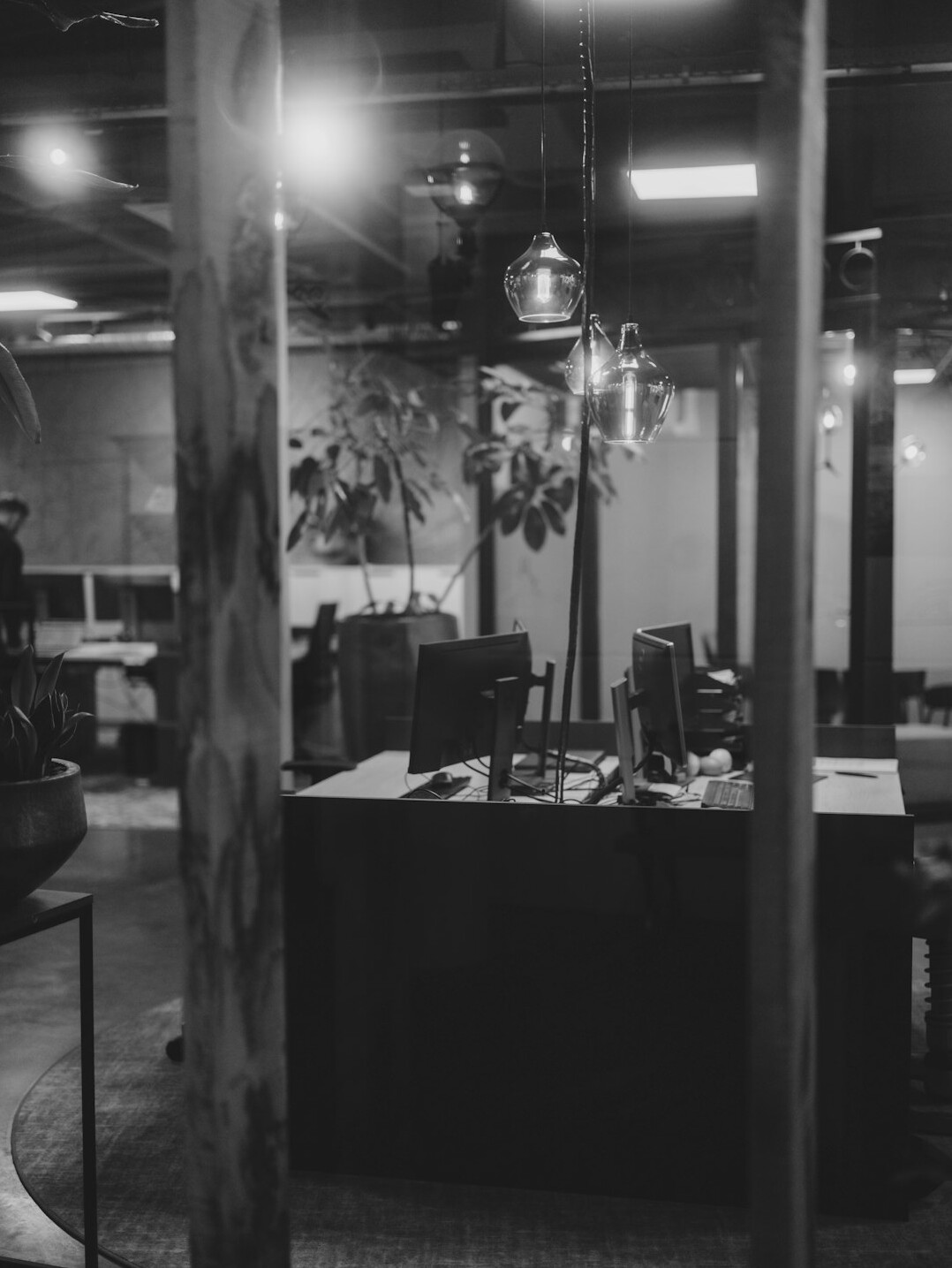 plants in modern office