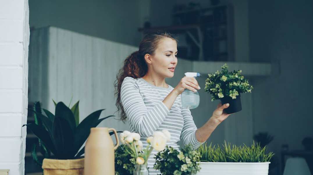 person caring for indoor plants