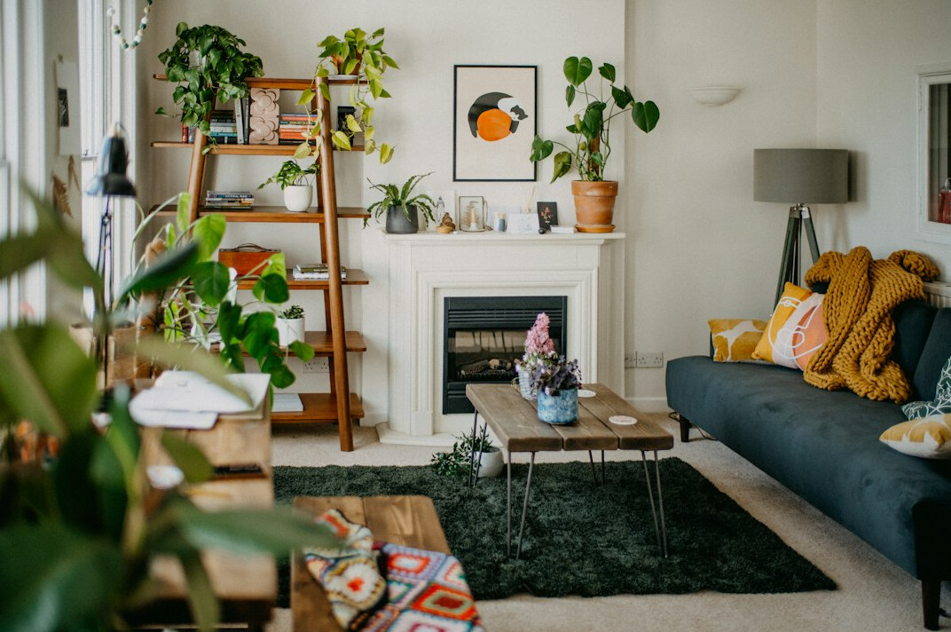 modern living room with indoor plants