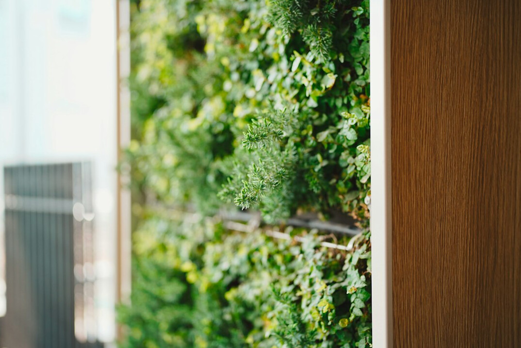 vertical garden wall indoor